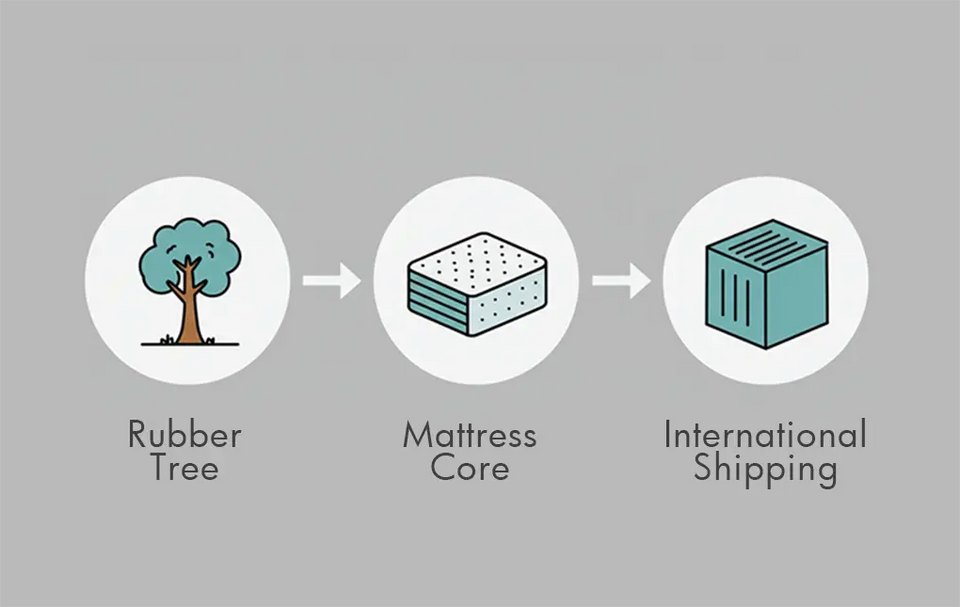 From Tree to Container: The Journey of a Malaysian Latex Mattress Core