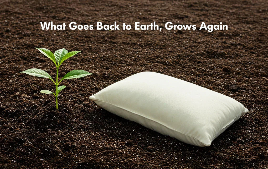 biodegradable materials