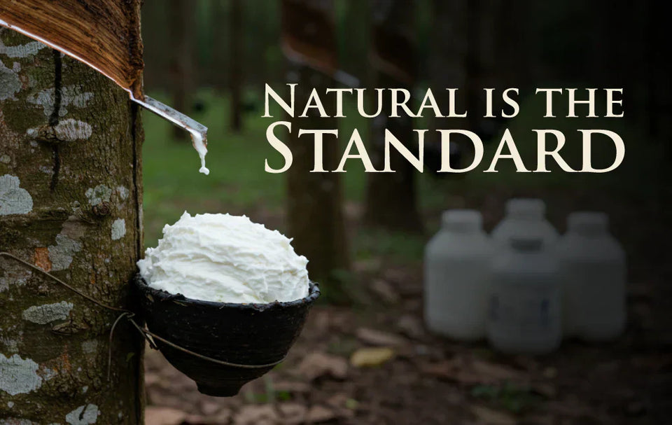 The Natural Leap: Product Lines from Foam to 100% Natural Latex